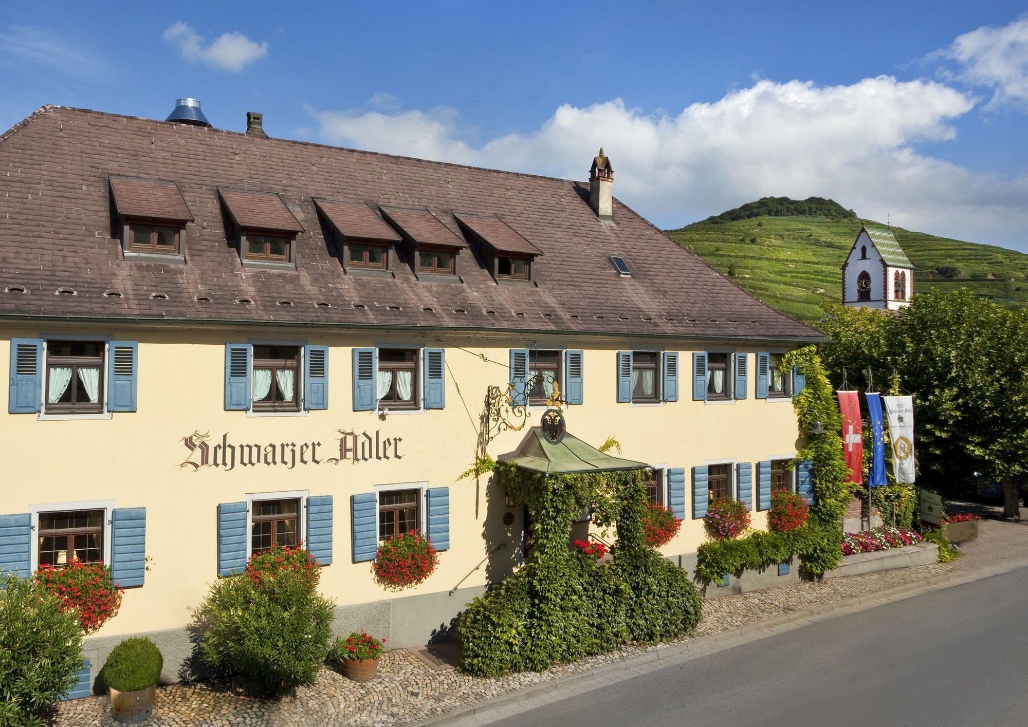 Отель Schwarzer Adler Фогтсбург Ресторан фото